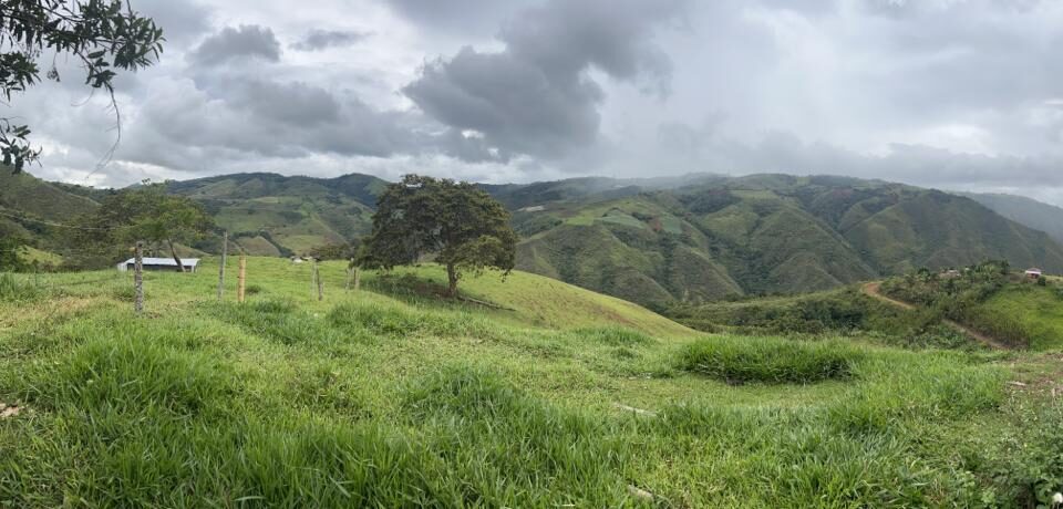 Pavas H Ctareas Ganaderas Venta Fincas Del Valle