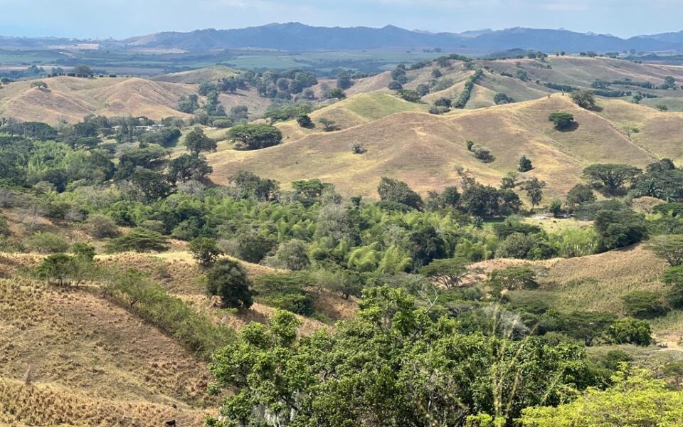 Tulu Plazas Finca Ganadera En Venta Fincas Del Valle